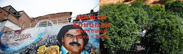 PSILOCYBIN Володарск