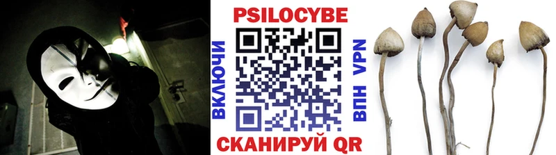 Псилоцибиновые грибы ЛСД  как найти наркотики  Карачаевск 